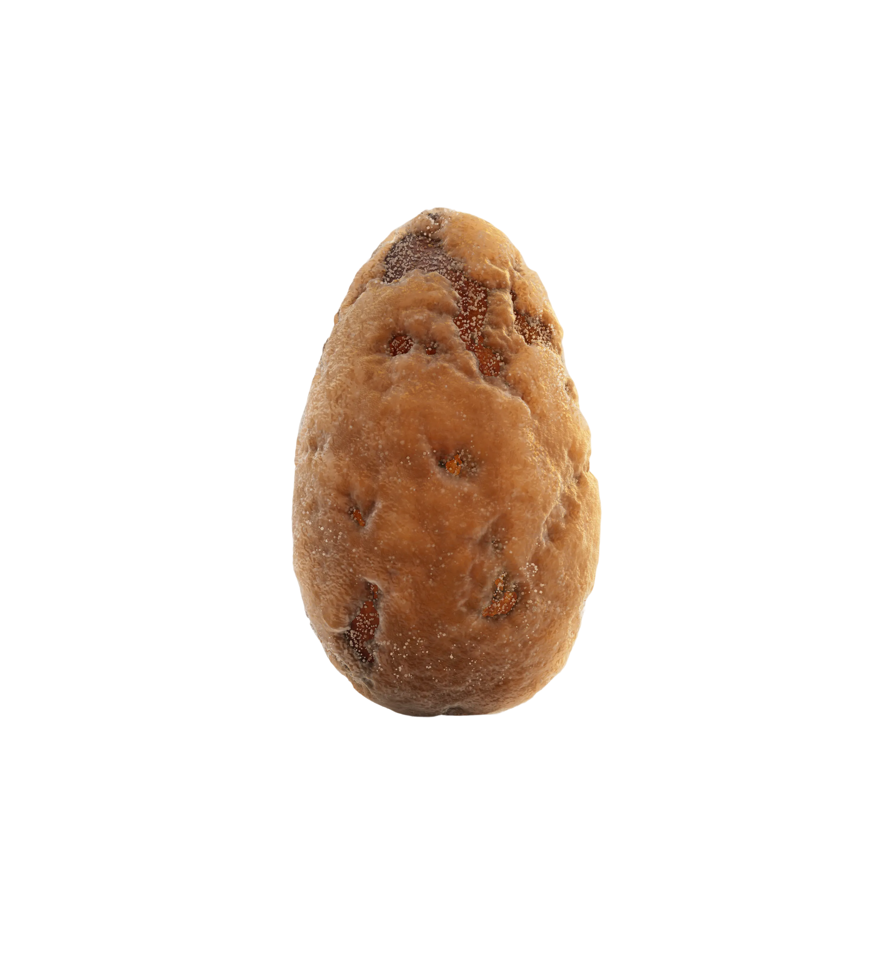 A single protein-coated almond, close up
